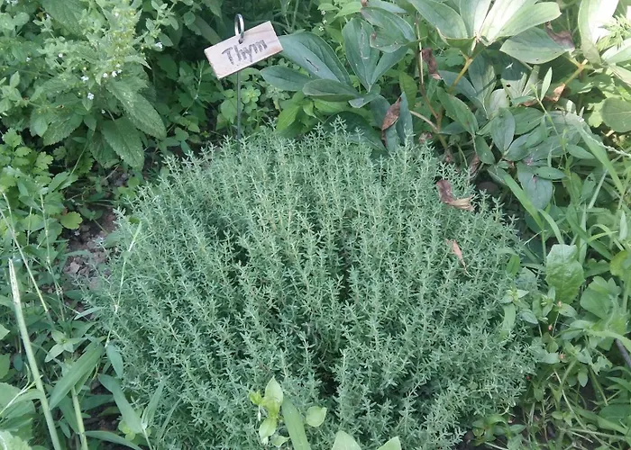 Дом отдыха La Maison Mescladis Manhac