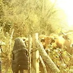 度假居 La Maison Mescladis *