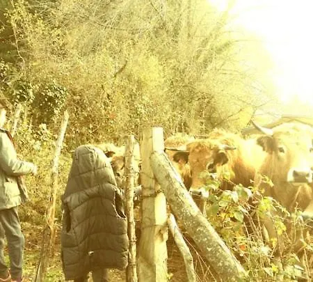 Semesterbostad La Maison Mescladis *