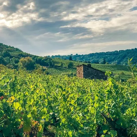 La Maison Mescladis