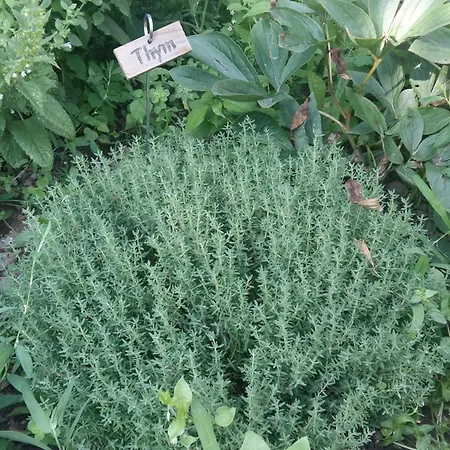 Semesterbostad La Maison Mescladis Manhac