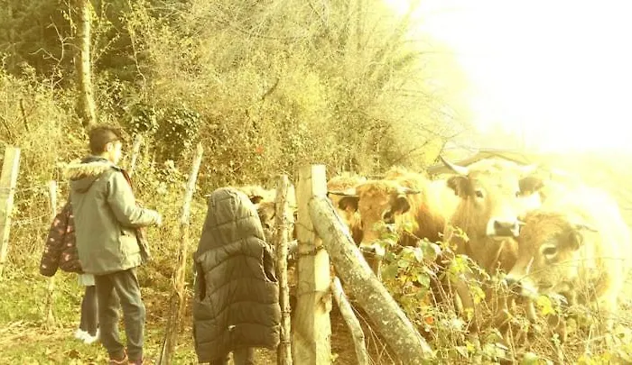 Vakantiehuis La Maison Mescladis *